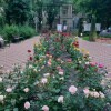 https://cdn-ostrovok-ru-ion.test.edgekey.net/t/100x100/hotel_review/06/de/06dea0ca8defbb346bb3b6e3e115547656cc424b.JPEG