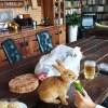 https://cdn-ostrovok-ru-ion.test.edgekey.net/t/100x100/hotel_review/07/29/0729e3d2a7228674a820497fa0ea1b385186fe26.JPEG
