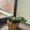 https://cdn-ostrovok-ru-ion.test.edgekey.net/t/100x100/hotel_review/07/8a/078a9a88490ba172f09d528e0929a13289a6dad2.JPEG