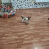 https://cdn-ostrovok-ru-ion.test.edgekey.net/t/100x100/hotel_review/07/c2/07c2dae85464801dc9163d5964847a2f269e4e0c.JPEG