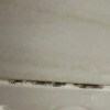 https://cdn-ostrovok-ru-ion.test.edgekey.net/t/100x100/hotel_review/08/73/0873b9ca9ed77e9d562a1924a2a716752c8663ef.JPEG