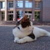 https://cdn-ostrovok-ru-ion.test.edgekey.net/t/100x100/hotel_review/08/75/08750cc3dc46d5c11a1052b3eb7fa66ab665dffb.JPEG