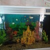https://cdn-ostrovok-ru-ion.test.edgekey.net/t/100x100/hotel_review/08/85/0885b5f5a0d57fb5d09f984513b32d8a93f48428.JPEG
