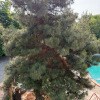 https://cdn-ostrovok-ru-ion.test.edgekey.net/t/100x100/hotel_review/08/ce/08ce38be961809b95f5dbe323724128ef093db6e.JPEG
