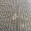 https://cdn-ostrovok-ru-ion.test.edgekey.net/t/100x100/hotel_review/08/fe/08fef8ce49acd72a8c0a2cc94ac6c59238b5281e.JPEG