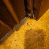 https://cdn-ostrovok-ru-ion.test.edgekey.net/t/100x100/hotel_review/09/3f/093fcbc6dcf19824e1e8e5f22ebef76e86db1fdb.JPEG