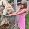 https://cdn-ostrovok-ru-ion.test.edgekey.net/t/100x100/hotel_review/09/60/0960f3f14f8abe16bdd8105123adcfb9df58d570.JPEG