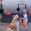 https://cdn-ostrovok-ru-ion.test.edgekey.net/t/100x100/hotel_review/09/7d/097d3b5bf30df2c05384135db2a6a295b485b27c.jpeg