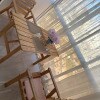 https://cdn-ostrovok-ru-ion.test.edgekey.net/t/100x100/hotel_review/09/a4/09a42948b861f3068fdc967b160c6301f55a1a7a.JPEG