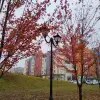 https://cdn-ostrovok-ru-ion.test.edgekey.net/t/100x100/hotel_review/09/c3/09c3ee61e578cc7c2137f1f1181b90804880ae70.jpeg