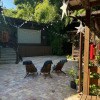 https://cdn-ostrovok-ru-ion.test.edgekey.net/t/100x100/hotel_review/09/cf/09cfe8169b16f6998a7547f02494c7cb569f8a55.JPEG