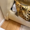 https://cdn-ostrovok-ru-ion.test.edgekey.net/t/100x100/hotel_review/09/eb/09eb4df320d9caf1bdec125c8c4a7983307b7f0e.JPEG