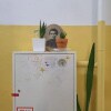 https://cdn-ostrovok-ru-ion.test.edgekey.net/t/100x100/hotel_review/09/f8/09f807c69c366705f487b9d350aca549a744d684.JPEG