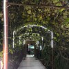 https://cdn-ostrovok-ru-ion.test.edgekey.net/t/100x100/hotel_review/0a/26/0a2616792f23b2a7c453e67a7d6266ac216da2df.JPEG