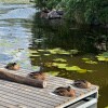 https://cdn-ostrovok-ru-ion.test.edgekey.net/t/100x100/hotel_review/0a/74/0a741fdbc38b6684af9104c6d1dd229c47687b1e.JPEG