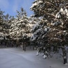 https://cdn-ostrovok-ru-ion.test.edgekey.net/t/100x100/hotel_review/0a/e6/0ae68c39cac1313c7b970b8ebbea4d8560aabb65.JPEG