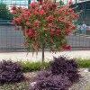 https://cdn-ostrovok-ru-ion.test.edgekey.net/t/100x100/hotel_review/0a/f9/0af9b20d61793c1197f1aab0f2fab4cfcab1dd56.JPEG