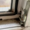 https://cdn-ostrovok-ru-ion.test.edgekey.net/t/100x100/hotel_review/0b/05/0b05048f5368fba6480b19a431ee6a759f90a01b.JPEG