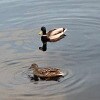 https://cdn-ostrovok-ru-ion.test.edgekey.net/t/100x100/hotel_review/0c/10/0c1020f2c25d820ee0456b50728f568dd83c811d.JPEG