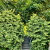 https://cdn-ostrovok-ru-ion.test.edgekey.net/t/100x100/hotel_review/0c/38/0c388d93fa4bc7df35553884cf7d6a663200684c.jpeg