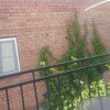 https://cdn-ostrovok-ru-ion.test.edgekey.net/t/100x100/hotel_review/0c/6d/0c6d667f24ec0476223cce0214ffc8533c6c0655.JPEG