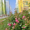 https://cdn-ostrovok-ru-ion.test.edgekey.net/t/100x100/hotel_review/0c/8d/0c8dc983cd60a50fd6fa312003e568703bce8dcb.JPEG