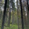 https://cdn-ostrovok-ru-ion.test.edgekey.net/t/100x100/hotel_review/0c/aa/0caa565734efa6d6fa8a35739c525ed7229dc311.JPEG