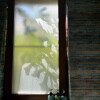 https://cdn-ostrovok-ru-ion.test.edgekey.net/t/100x100/hotel_review/0c/df/0cdfe856829eda62a2883e466198fef99ed3c6c2.JPEG