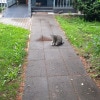 https://cdn-ostrovok-ru-ion.test.edgekey.net/t/100x100/hotel_review/0d/00/0d0030255317a8e54453388e9656a6e298d87065.JPEG