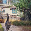 https://cdn-ostrovok-ru-ion.test.edgekey.net/t/100x100/hotel_review/0d/20/0d2093fe0cc4edd453a586446a313bdc53ccfbef.JPEG