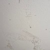 https://cdn-ostrovok-ru-ion.test.edgekey.net/t/100x100/hotel_review/0d/4a/0d4a8f980839ba098811387d9caad904c69afc22.JPEG