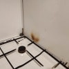 https://cdn-ostrovok-ru-ion.test.edgekey.net/t/100x100/hotel_review/0d/b2/0db24b6eef7d8ab156d0c386d35f2f62f2238a55.jpeg