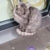 https://cdn-ostrovok-ru-ion.test.edgekey.net/t/100x100/hotel_review/0d/b3/0db3b40ef82edcaaaeddfbd758f1c9a14352c2b0.jpeg