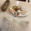 https://cdn-ostrovok-ru-ion.test.edgekey.net/t/100x100/hotel_review/0d/b9/0db9d56e65483ee227f210ccfcc15b5c8dd2965c.JPEG
