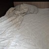 https://cdn-ostrovok-ru-ion.test.edgekey.net/t/100x100/hotel_review/0d/c8/0dc8608a501e1ed9868d8082bff9db8ec2d9fe1f.jpeg