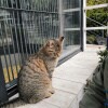 https://cdn-ostrovok-ru-ion.test.edgekey.net/t/100x100/hotel_review/0d/e9/0de9d49c53d72aeb5e61663b93c44226c950f703.jpeg