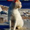 https://cdn-ostrovok-ru-ion.test.edgekey.net/t/100x100/hotel_review/0d/f2/0df22b3fecb35f79038d864ccc81ec8487bf5e6a.WEBP