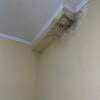 https://cdn-ostrovok-ru-ion.test.edgekey.net/t/100x100/hotel_review/0e/39/0e39c64bd17b2da26ec36114f37127b2def5baab.JPEG
