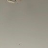 https://cdn-ostrovok-ru-ion.test.edgekey.net/t/100x100/hotel_review/0e/b2/0eb275c99a55e62a61dbcab6cdf54f0262c9b488.JPEG