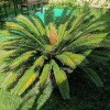 https://cdn-ostrovok-ru-ion.test.edgekey.net/t/100x100/hotel_review/0e/f0/0ef0b8e57e7152f19ab4f3de480a292aeaea6ae8.JPEG