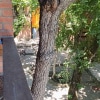 https://cdn-ostrovok-ru-ion.test.edgekey.net/t/100x100/hotel_review/0f/04/0f04b2b62dd8c98c708027b7fc657f67a27ebd1d.JPEG