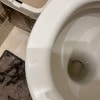 https://cdn-ostrovok-ru-ion.test.edgekey.net/t/100x100/hotel_review/0f/5d/0f5d817548b448d837ee929bc6fd3244cb799ac0.JPEG