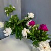 https://cdn-ostrovok-ru-ion.test.edgekey.net/t/100x100/hotel_review/0f/e1/0fe1d57551dad1e64fcaac6c1f864d7e714551a0.JPEG