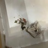 https://cdn-ostrovok-ru-ion.test.edgekey.net/t/100x100/hotel_review/10/1e/101e0a11f716e3f5733af0b3dfbf8d10e9a1a573.JPEG