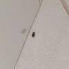 https://cdn-ostrovok-ru-ion.test.edgekey.net/t/100x100/hotel_review/10/55/1055e07cd3ac2356e9b7488049042f7cc4345d4e.jpeg