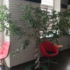 https://cdn-ostrovok-ru-ion.test.edgekey.net/t/100x100/hotel_review/10/74/10740f9de1c3abfbf771b766de7951216797eb82.JPEG