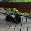 https://cdn-ostrovok-ru-ion.test.edgekey.net/t/100x100/hotel_review/10/bf/10bf3d5759a255a85d794bb6aa05b332ce1279b3.JPEG