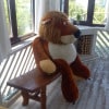 https://cdn-ostrovok-ru-ion.test.edgekey.net/t/100x100/hotel_review/11/01/1101ab12f8109844070baada29816153e53da950.JPEG
