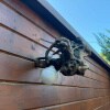 https://cdn-ostrovok-ru-ion.test.edgekey.net/t/100x100/hotel_review/11/4e/114ebccf88961930c10d808dc65599e6f3d0f323.JPEG