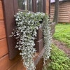 https://cdn-ostrovok-ru-ion.test.edgekey.net/t/100x100/hotel_review/11/56/11567ac39bfb69a9c553044f283ab533b418c439.JPEG